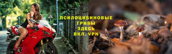 индика Мурманск