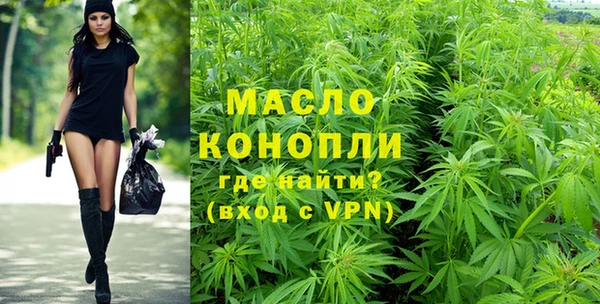 индика Мурманск