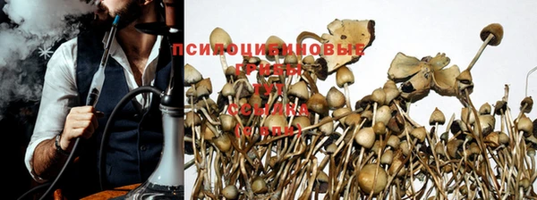 mdma Корсаков