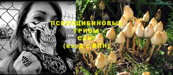 кокс Костерёво