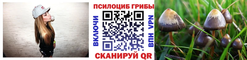 купить закладку  Лысково  ОМГ ОМГ ссылка  дарк нет клад  Галлюциногенные грибы MAGIC MUSHROOMS 