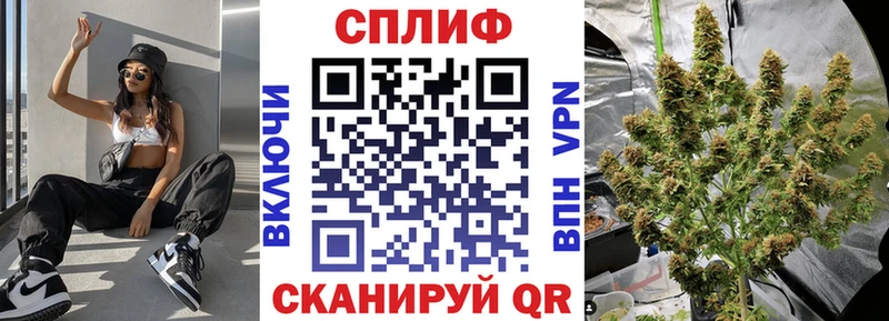 Бошки марихуана индика продажа наркотиков Лысково